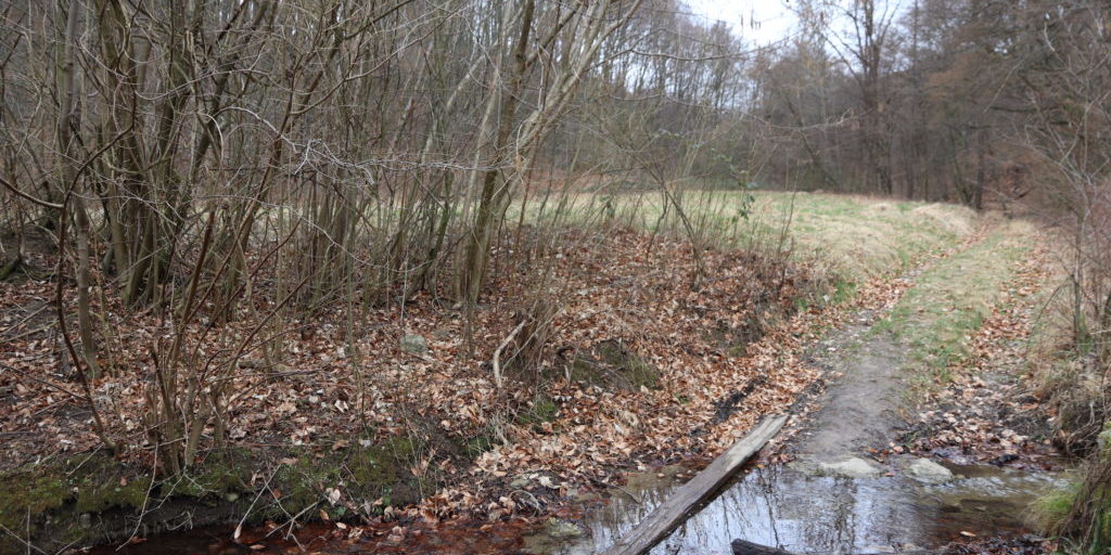 Teilbereich des geplanten Hochwasserrückhaltebeckens, im Vordergrund der Haselbach